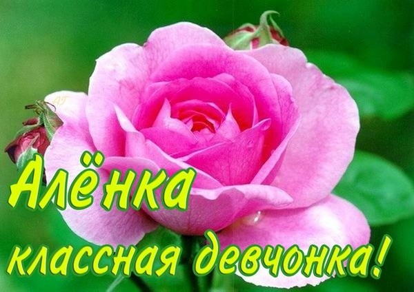 Поздравление весёлому другу Поздравление весёлому другу