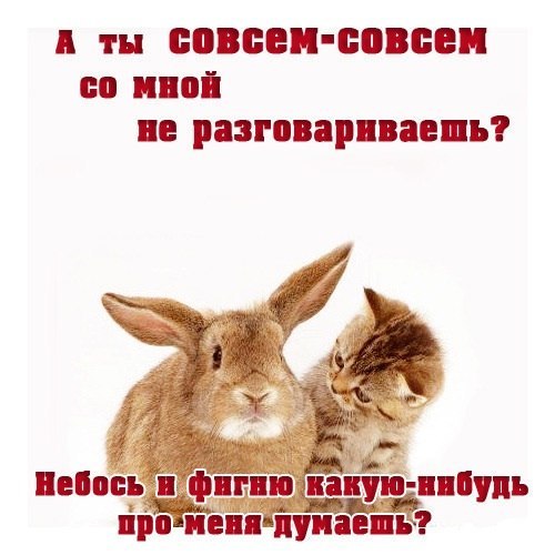 http://content.foto.my.mail.ru/community/amour1/_groupsphoto/h-24496.jpg