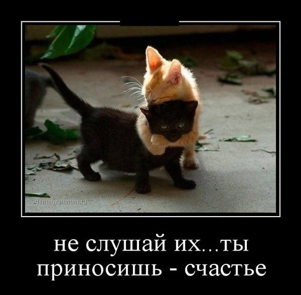 http://content.foto.my.mail.ru/community/cats-dogs1/_groupsphoto/h-42703.jpg