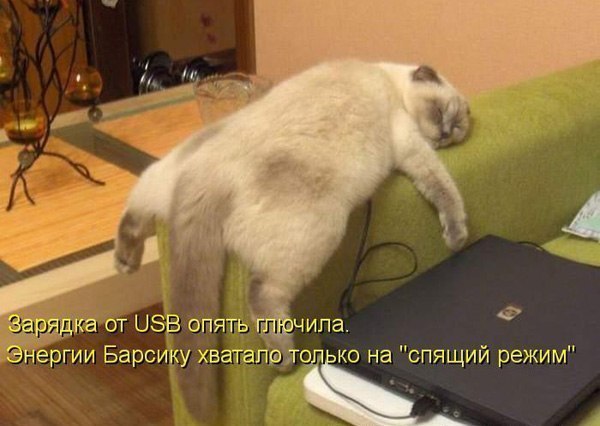 http://content.foto.my.mail.ru/community/laugh_humor/_groupsphoto/i-7.jpg