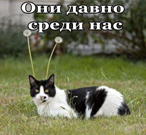 http://content.foto.my.mail.ru/community/yumorfm.ru/_groupsphoto/h-1867.jpg