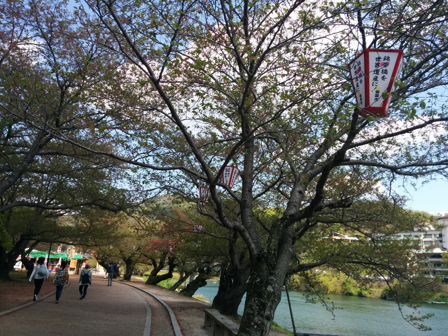 Япония, апрель 2015г.