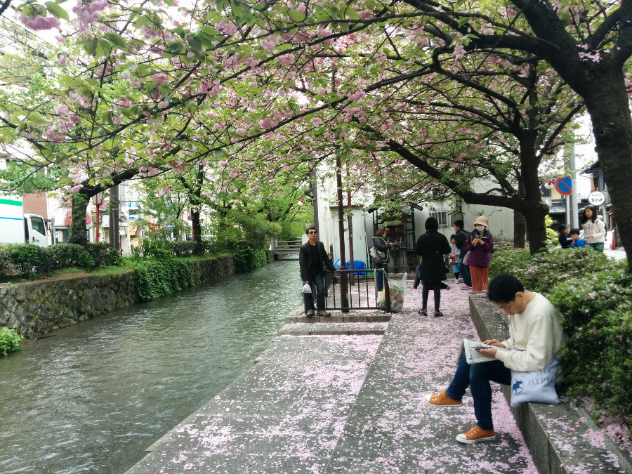 Япония, апрель 2015г.