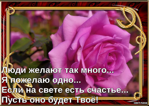 Поздравления с днем рождения мужчине желаю счастья Поздравления с днем рождения мужчине желаю счастья