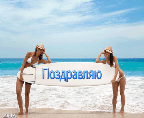 Вышивка кошки в кружке Вышивка кошки в кружке