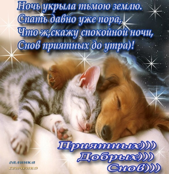 http://content.foto.my.mail.ru/inbox/maksimova-49/_blogs/i-3262.jpg