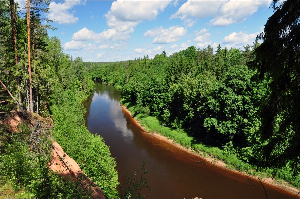 Карта плюссы псковская область