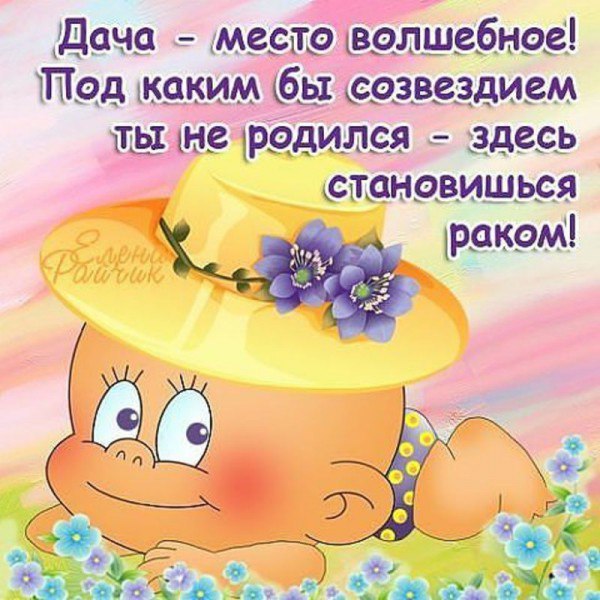 Поздравление шуточное о даче Поздравление шуточное о даче