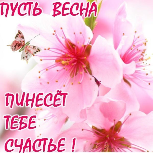 Пусть весна подарит тебе счастье Пусть весна подарит тебе счастье