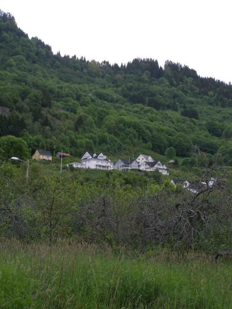 h-136.jpg