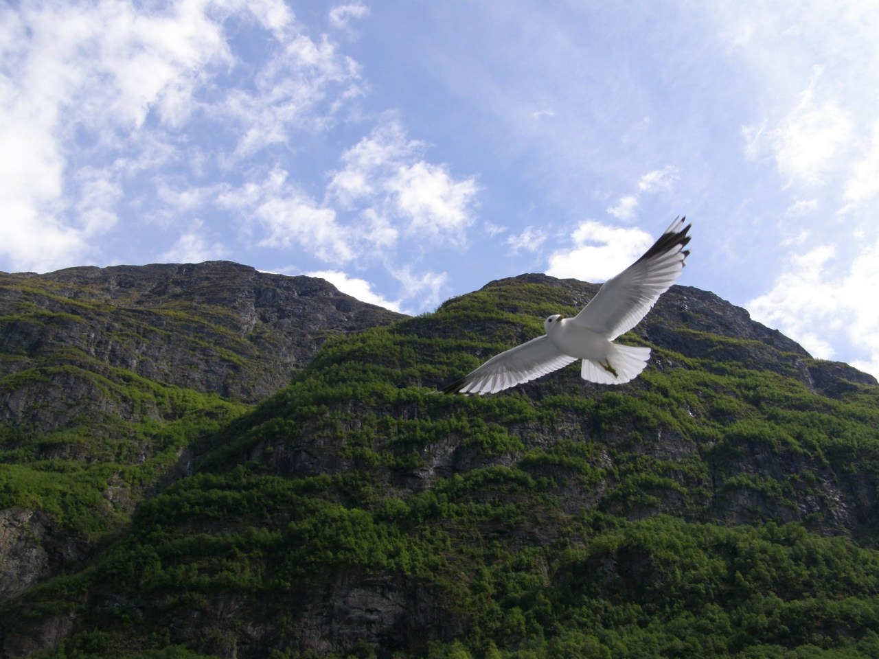 h-189.jpg
