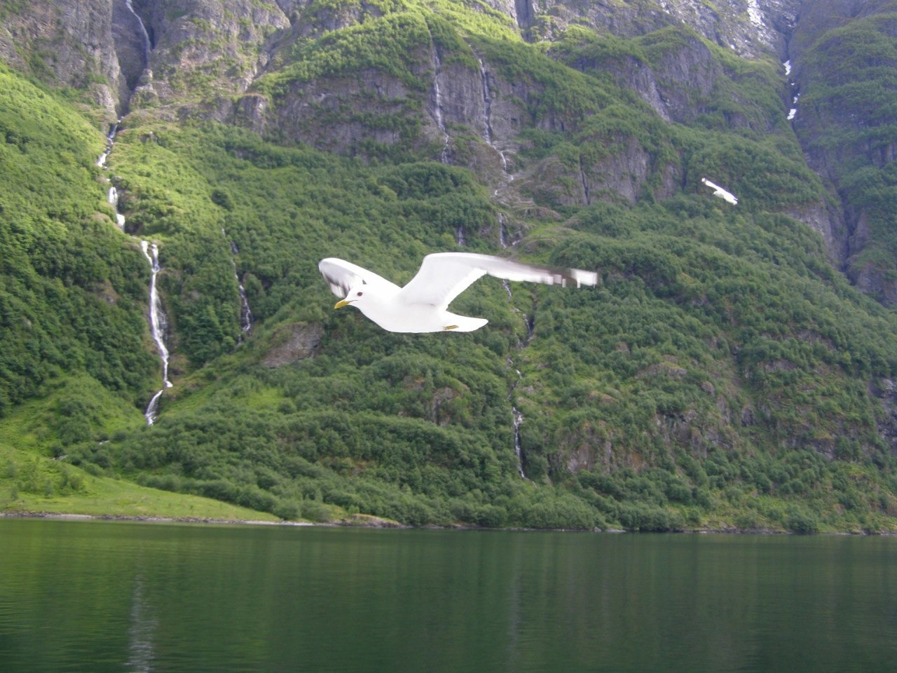 h-190.jpg
