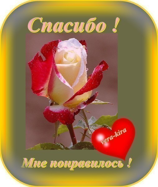 Тост летел один орел Тост летел один орел