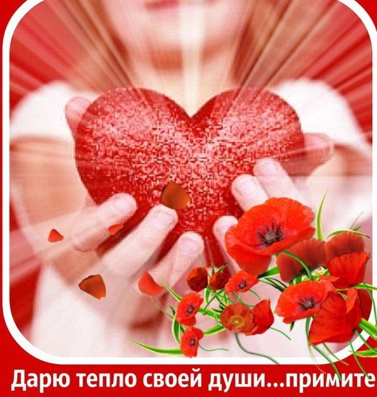 Подарить тепло своей души Подарить тепло своей души