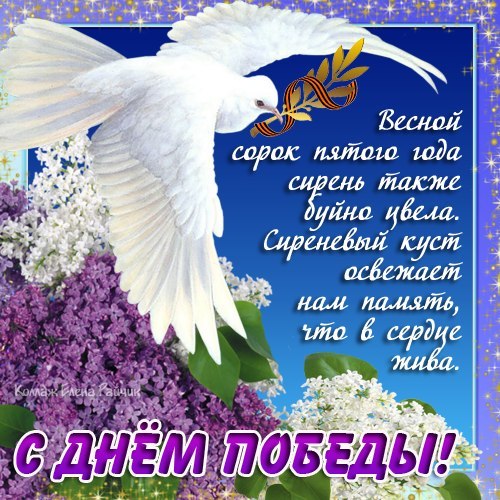 Поздравление с днем победы мирного неба над головой Поздравление с днем победы мирного неба над головой