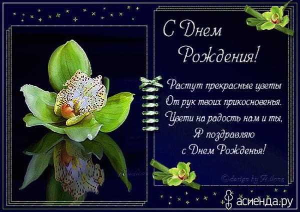 Открытка с днём рождения девушке красивые поздравления с орхидеей Открытка с днём рождения девушке красивые поздравления с орхидеей