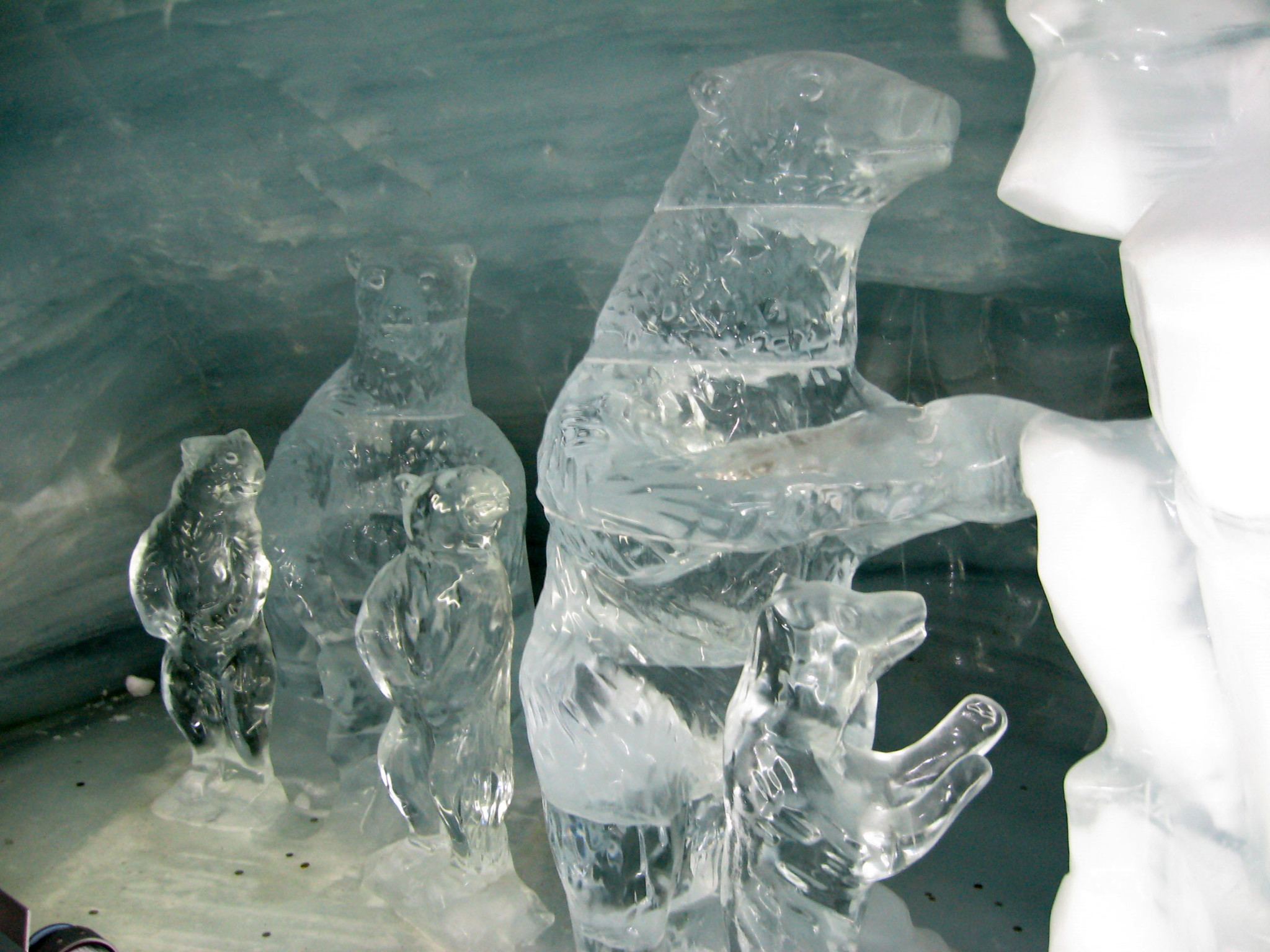 h-10686.jpg