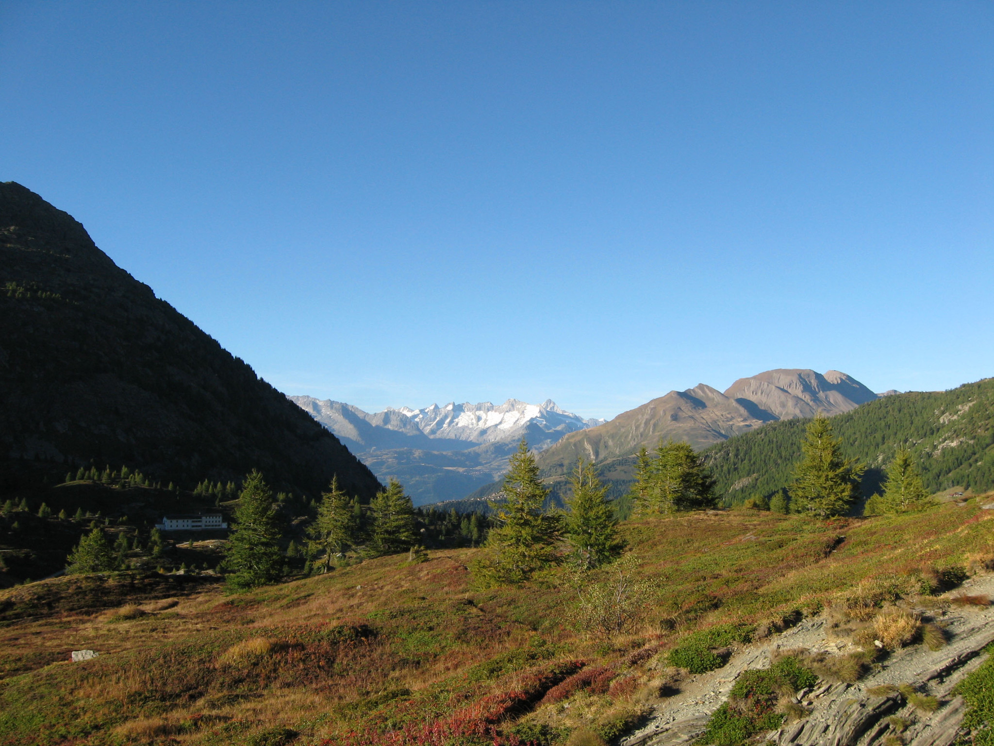 h-11227.jpg