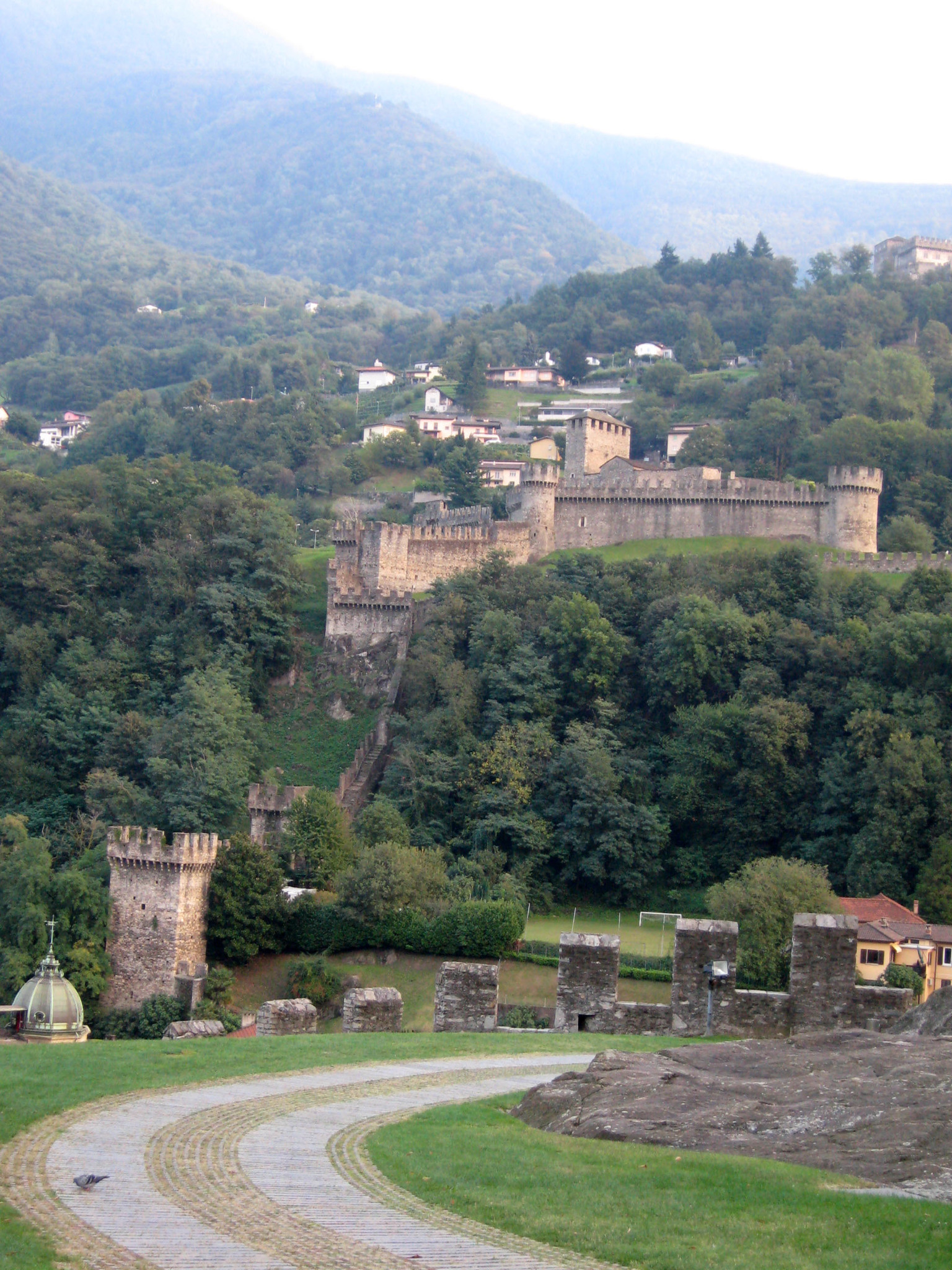 h-11406.jpg