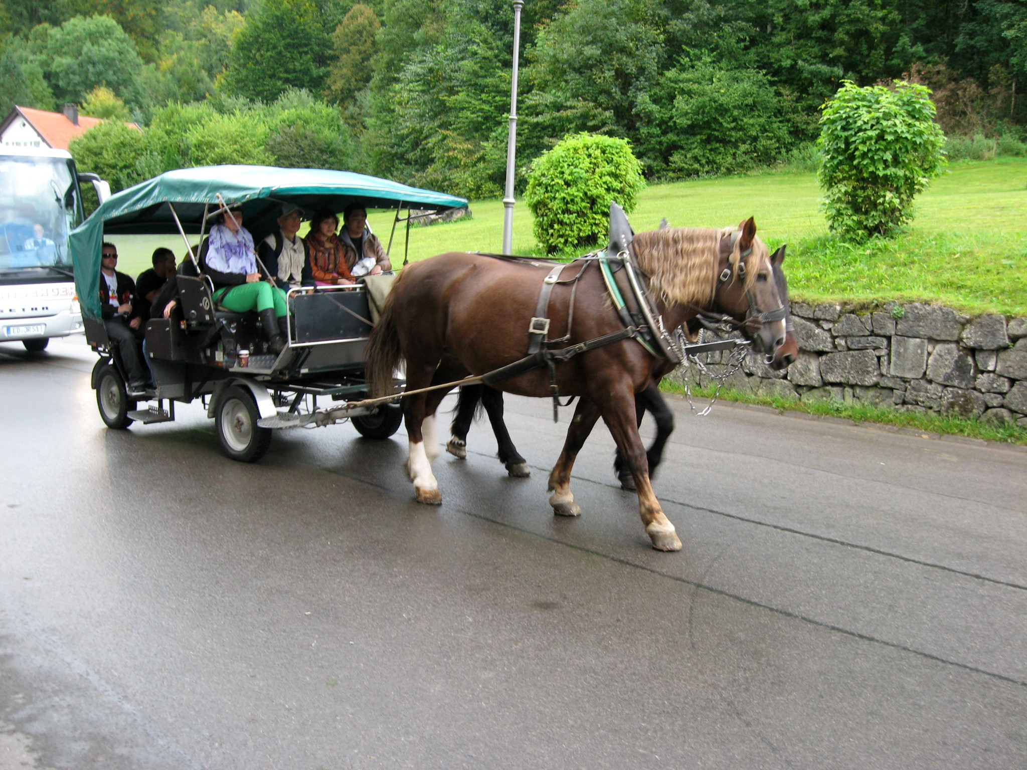 h-11448.jpg