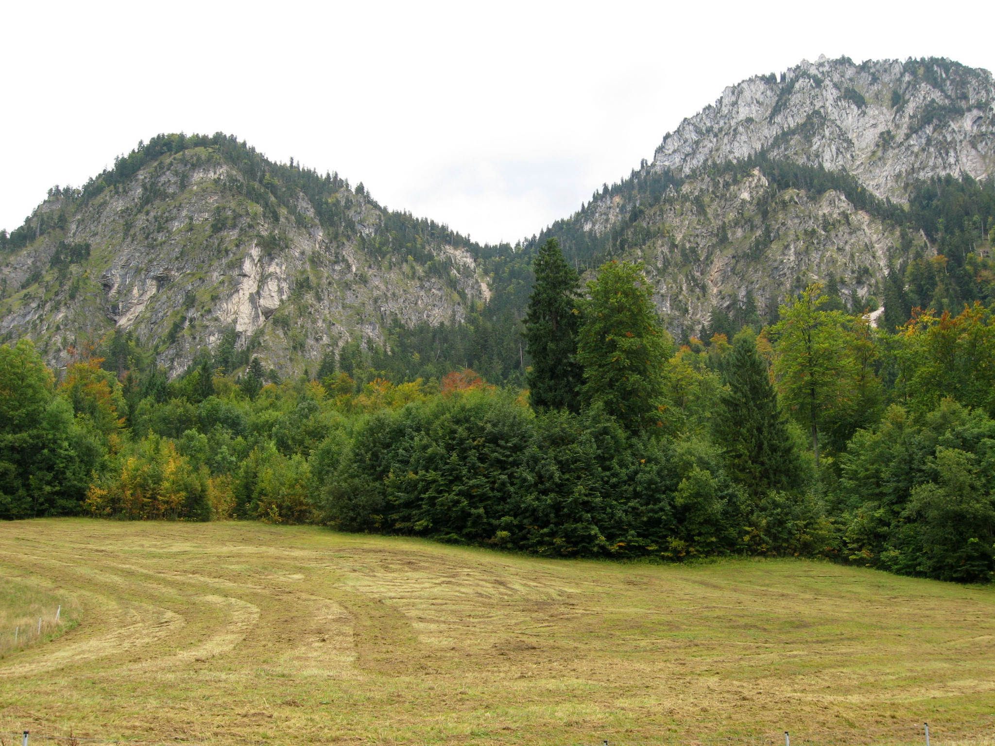 h-11457.jpg