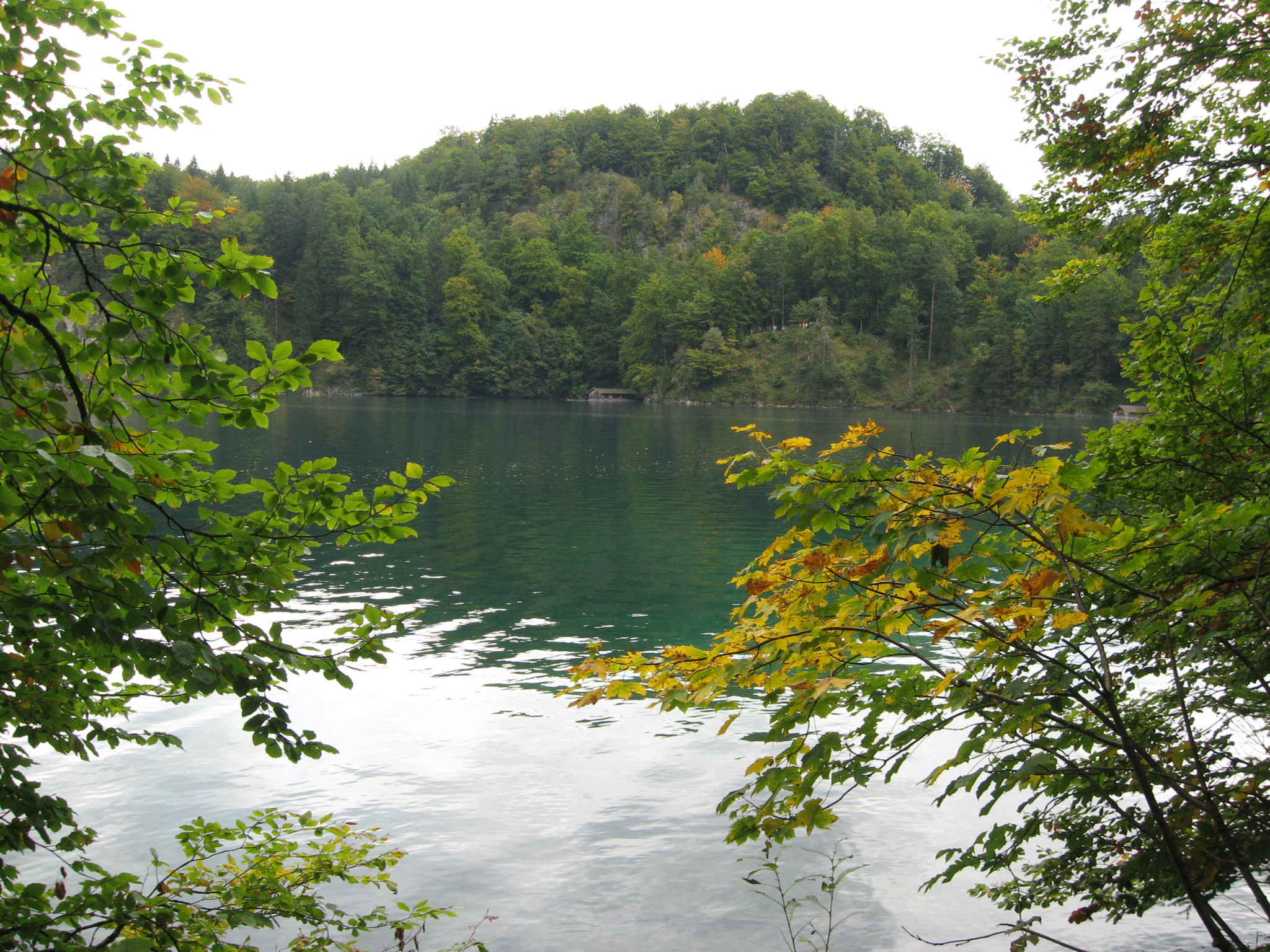 h-11467.jpg