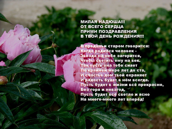 Поздравления с днём рождения надюшка Поздравления с днём рождения надюшка