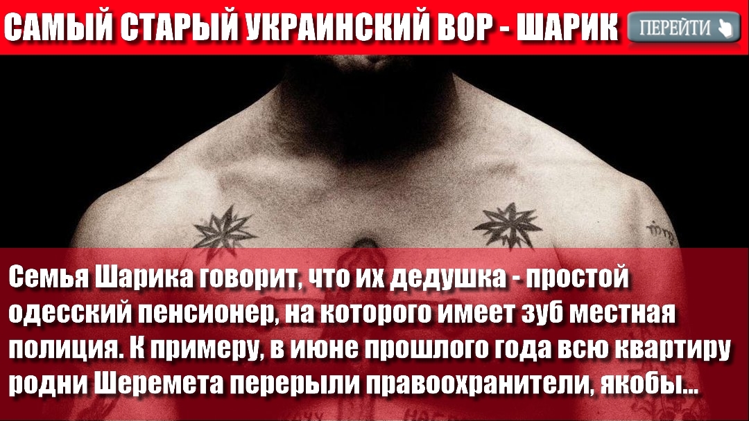 Самый старый украинский вор - Шарик