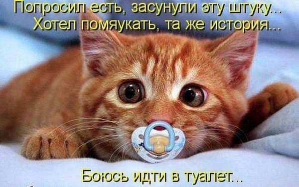 http://content.foto.my.mail.ru/mail/daniia50/7771/h-13899.jpg