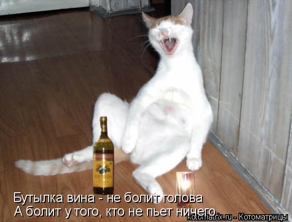 Песня напилася я пьяна скачать