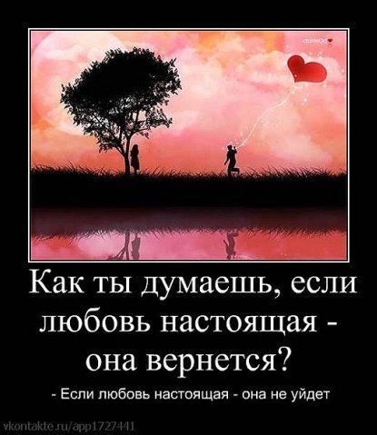 Днепр Ногтевой Сервис Белая смородина (фото) - посадка и формировка, польза Сайт