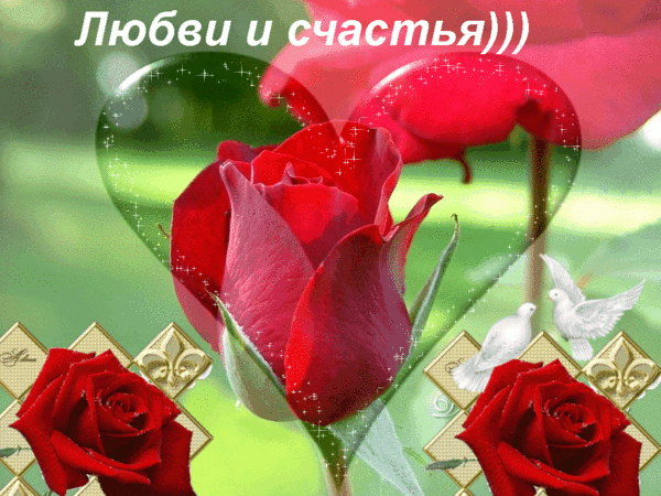 Короткий и красивый комплимент Короткий и красивый комплимент