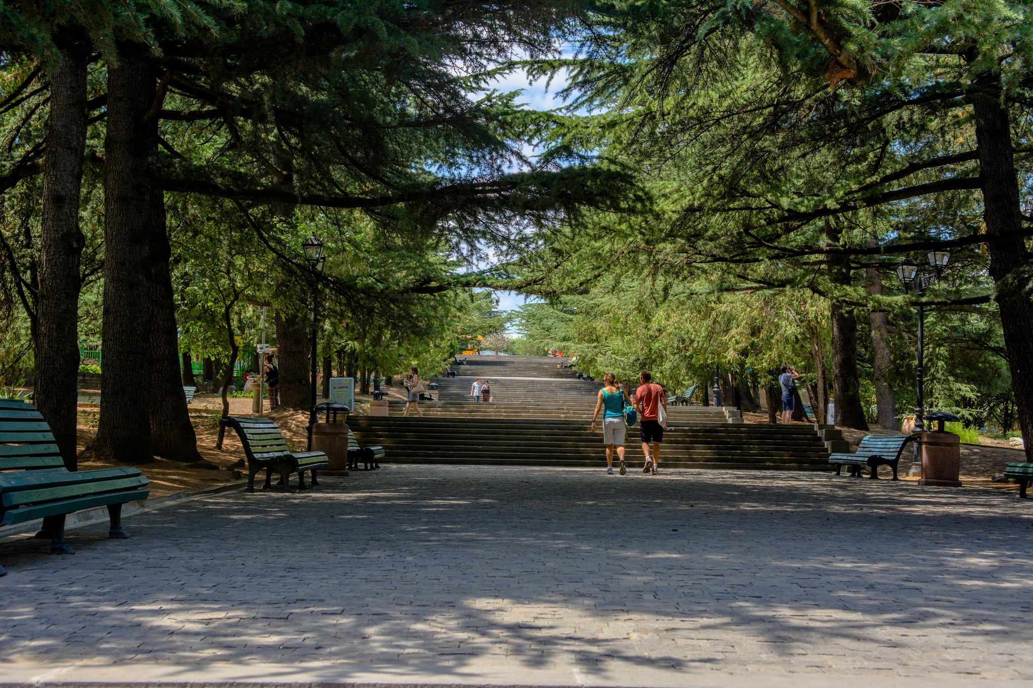 h-1009.jpg