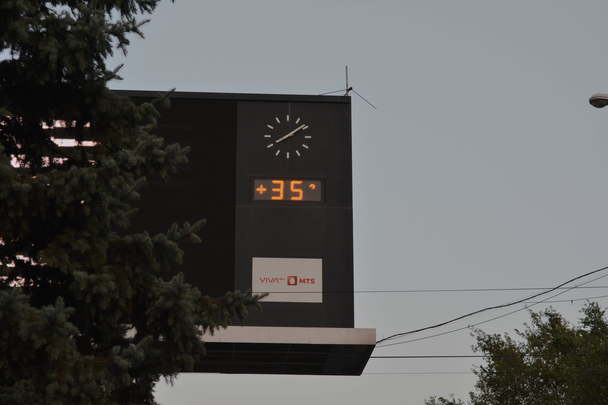 h-1121.jpg