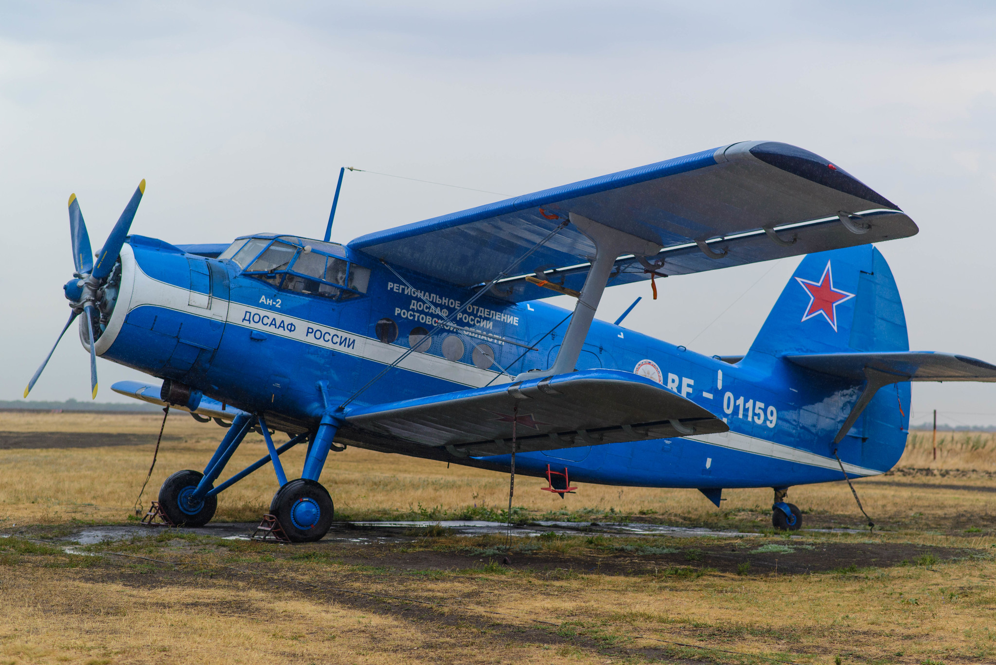 h-1162.jpg