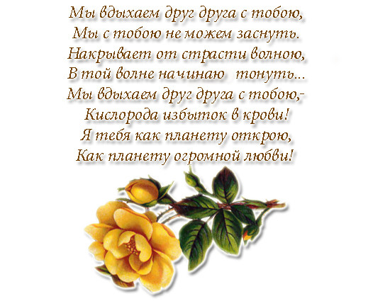 Можно ли подарить свою иконку Можно ли подарить свою иконку
