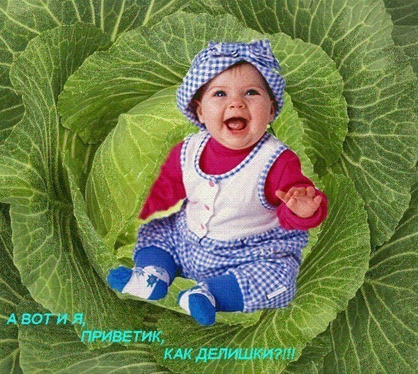 Что подарить внучке на 6 месяцев Что подарить внучке на 6 месяцев