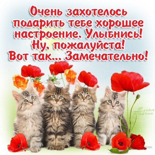 Тебе для настроения открытки Тебе для настроения открытки