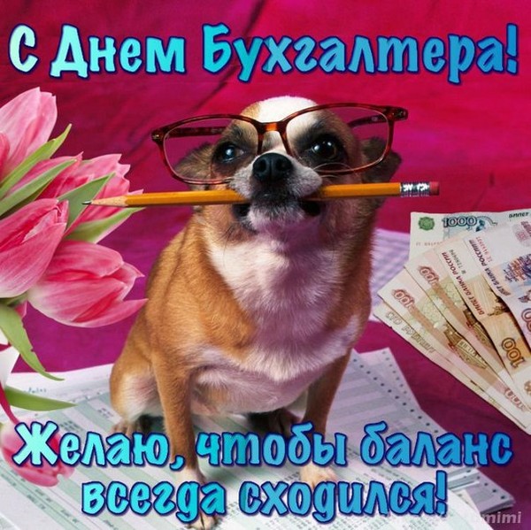 Бух поздравления