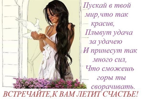 Стих с днём рождением тома Стих с днём рождением тома