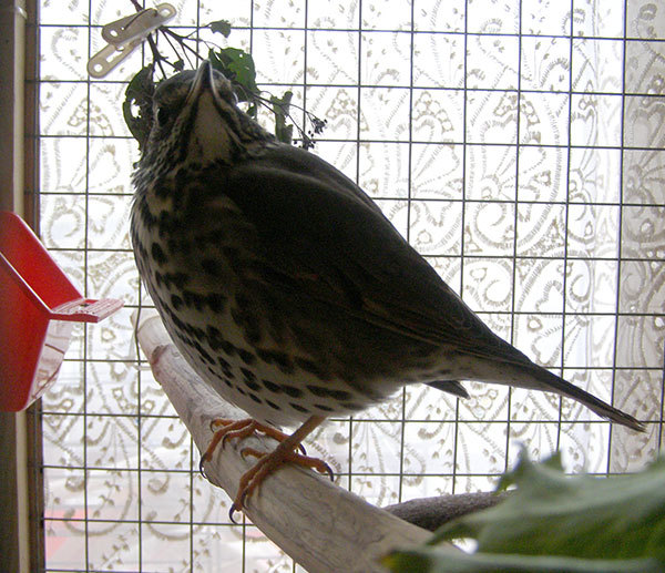http://content.foto.my.mail.ru/mail/hummel9/304/h-306.jpg