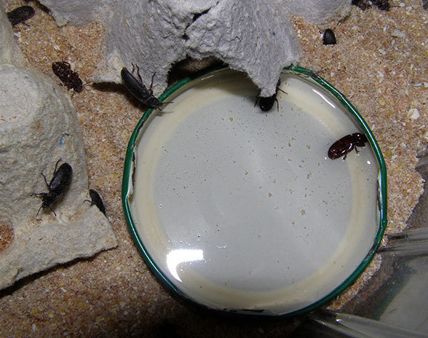 http://content.foto.my.mail.ru/mail/hummel9/304/h-310.jpg