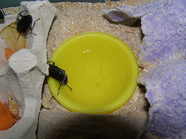 http://content.foto.my.mail.ru/mail/hummel9/304/h-311.jpg