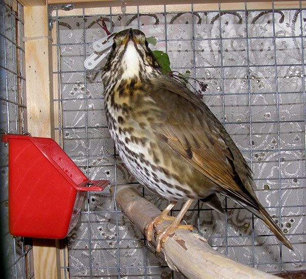 http://content.foto.my.mail.ru/mail/hummel9/304/h-314.jpg