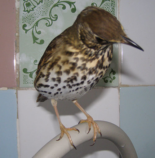 http://content.foto.my.mail.ru/mail/hummel9/315/h-316.jpg