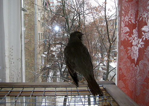 http://content.foto.my.mail.ru/mail/hummel9/315/h-327.jpg