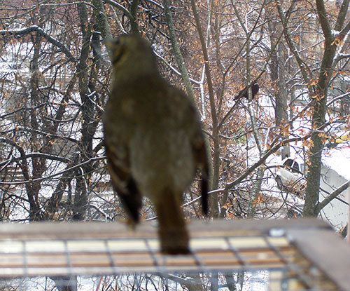 http://content.foto.my.mail.ru/mail/hummel9/315/h-330.jpg