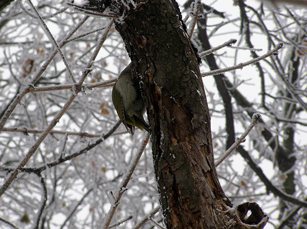 http://content.foto.my.mail.ru/mail/hummel9/315/h-340.jpg