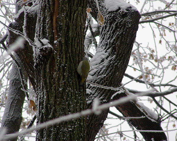 http://content.foto.my.mail.ru/mail/hummel9/315/h-341.jpg