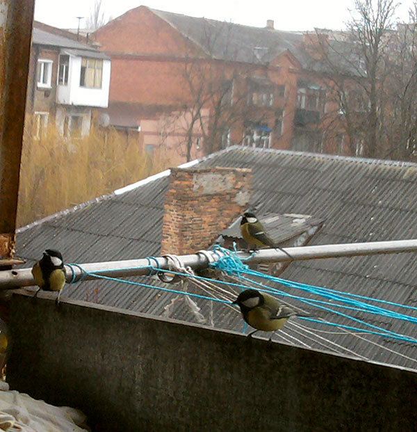 http://content.foto.my.mail.ru/mail/hummel9/315/h-354.jpg